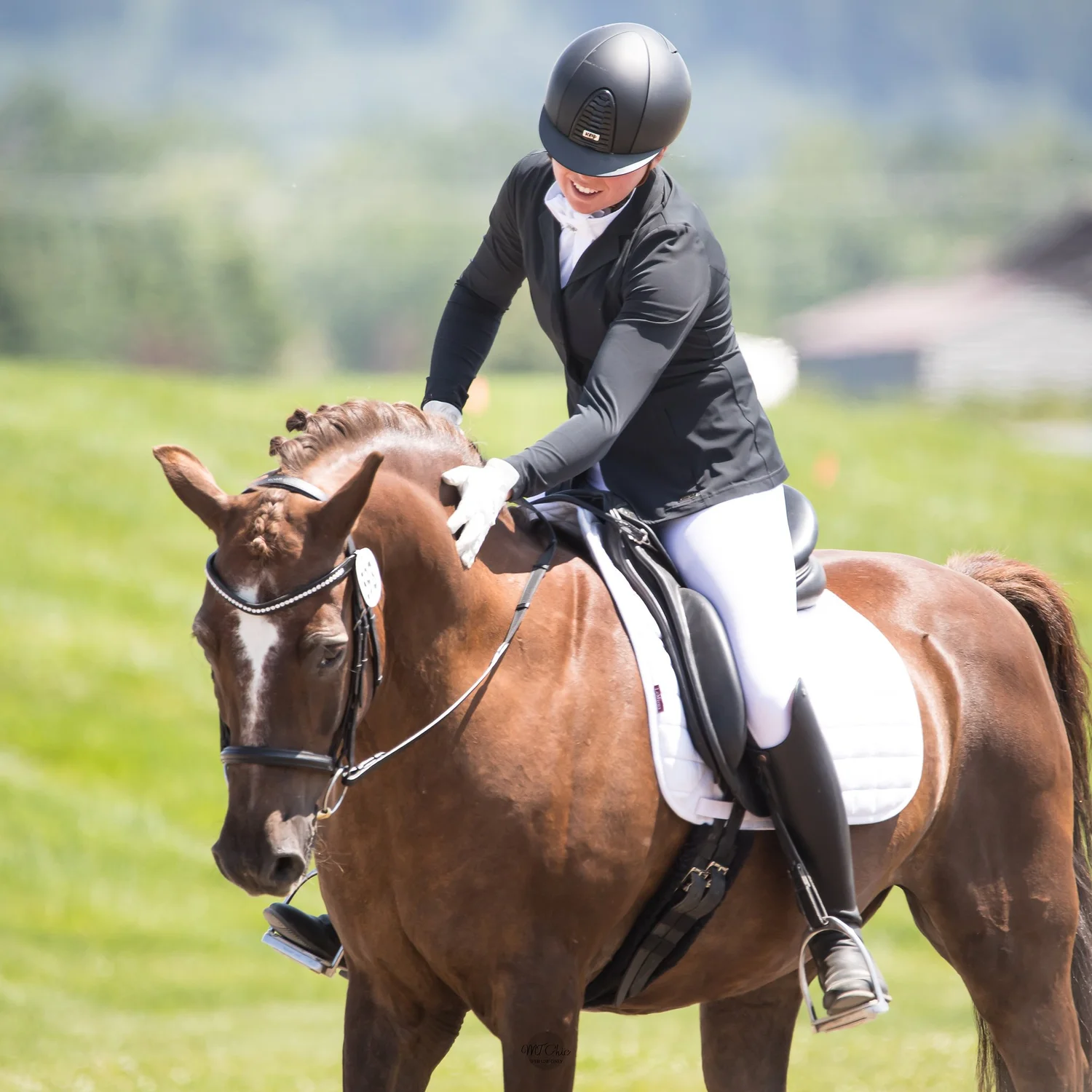 Dressage Lessons, Horse Training & Clinics in Bozeman, MT | Arete ...