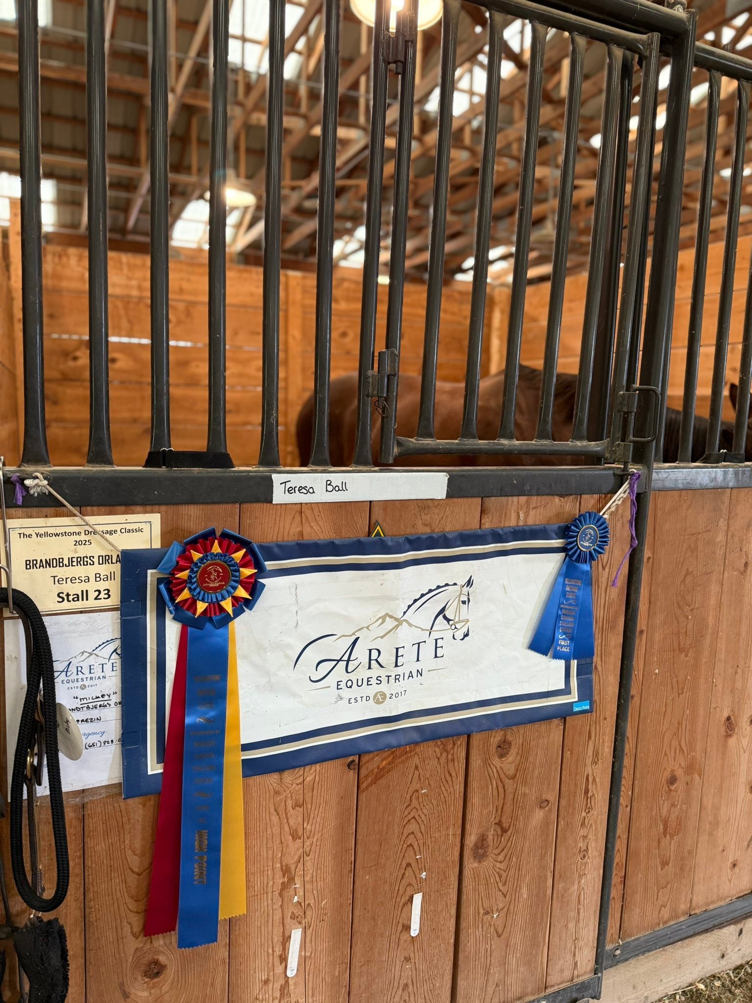 Someone had a very good day at I1 again!! Over 66% for our third time out at this level. So proud of Mickey for overcoming his initial fear of the announcers table and judges booth! And, we ended up Champion FEI Highpoint for the day. 🥳
