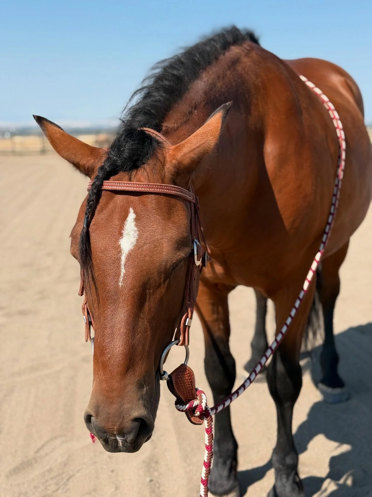 As autumn approaches, we&rsquo;re savoring every moment under the sun with our horses. For us, fall is about rejuvenation, relaxation, and recovery. Our last major competition of the year is in Parker, CO, mid-September. After that, we&rsquo;ll be em