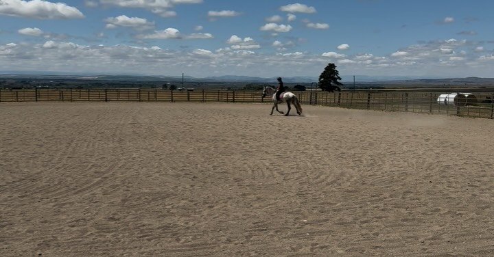 A recent conversation sparked an interesting idea &mdash;share Jariko&rsquo;s incredible transformation since his arrival in Montana last year. The first video is his first ride with me in July 2025, when he was just five years old with only 60 days 