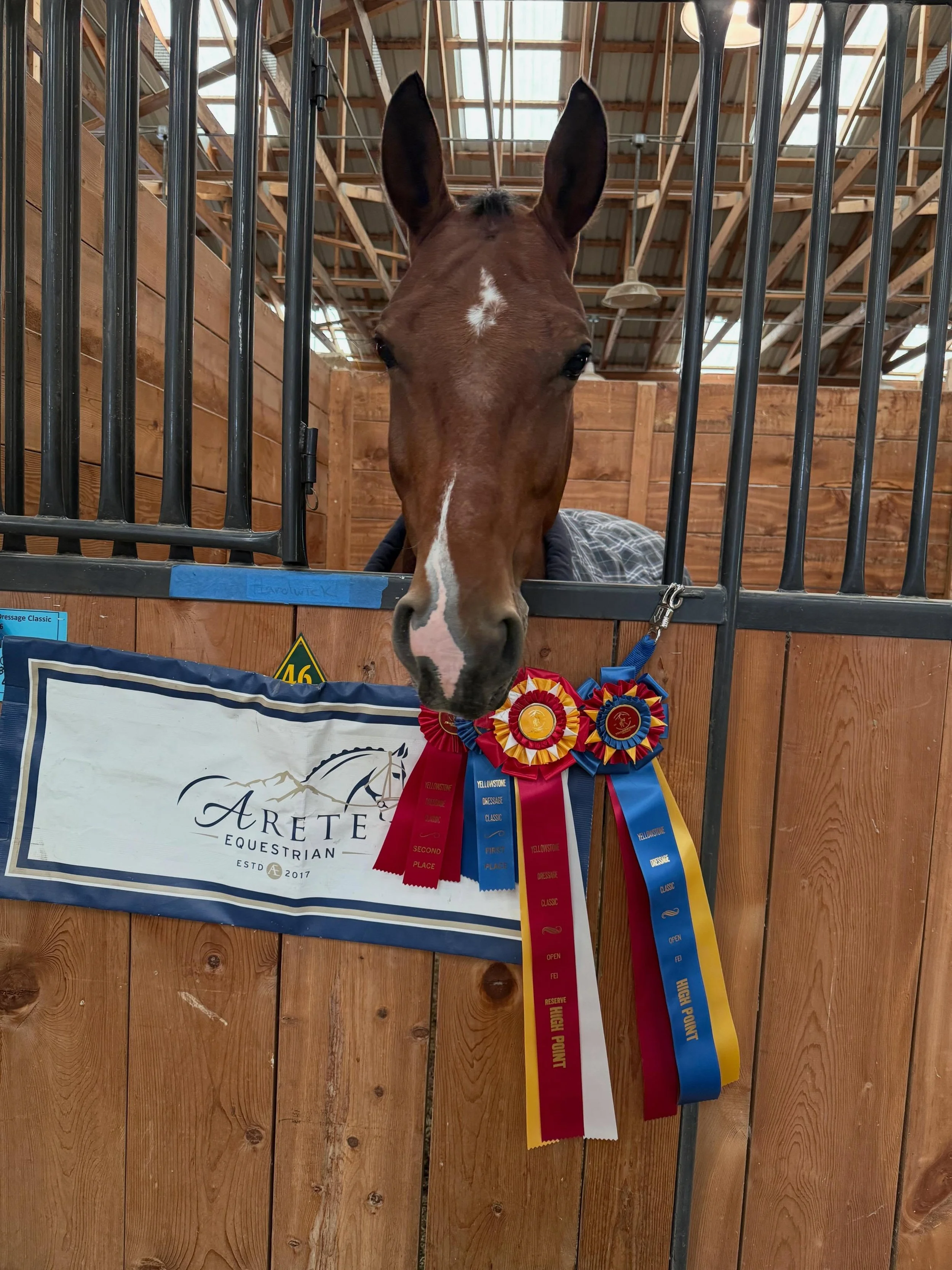 The boys knocked it out of the (very wet and muddy) park this weekend! I don&rsquo;t think I&rsquo;ve ever showed in such sporty conditions, but both Quentin and Jariko stepped up to the plate. Quentin rode a very conservative PSG for a nice 63%+ in 
