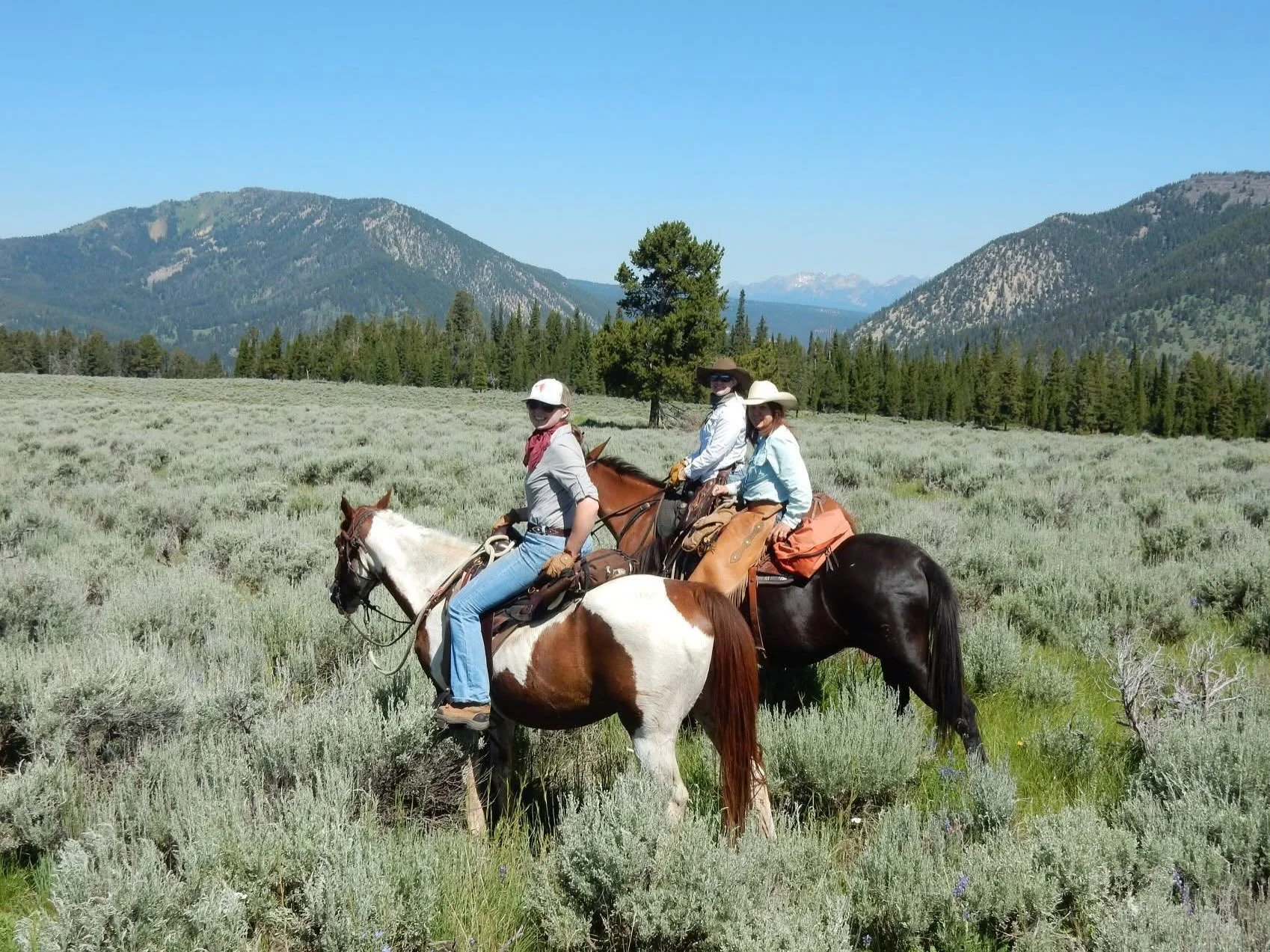 7 year ago today out in the backcountry with @adgillie 💜💜 how blessed are we to live in such an amazing place 💜