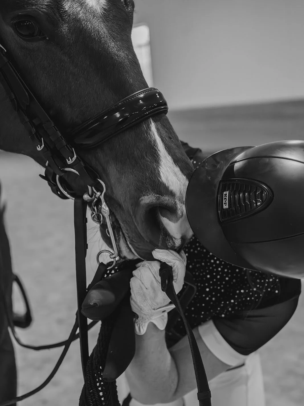&ldquo;The future belongs to those who believe in the beauty of their dreams.&rdquo; &mdash; Eleanor Roosevelt
.
.
.
#dressage #equine #horsetrainer #dressur #dressageathlete