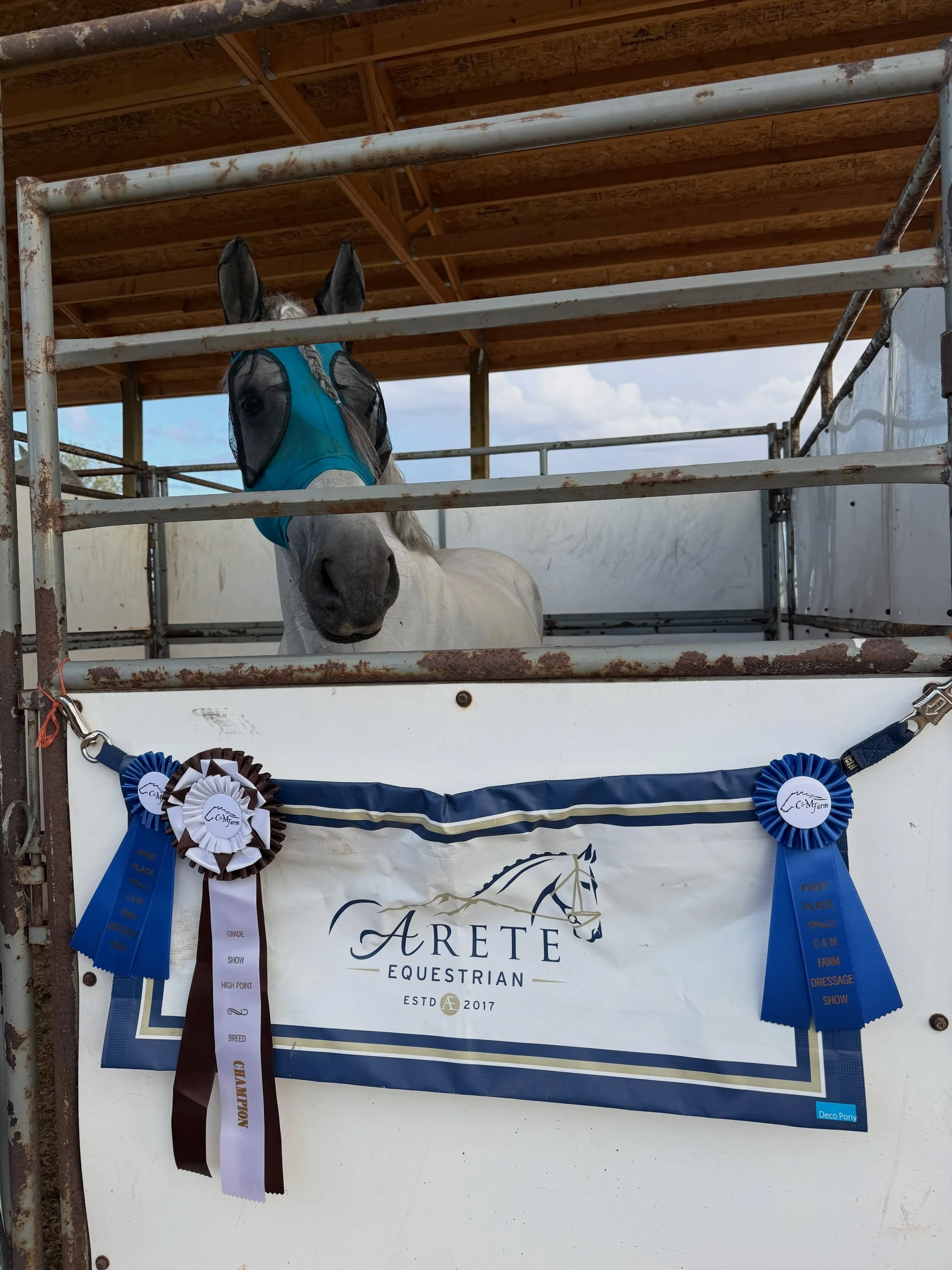 Wow- good boy Jariko! Open highpoint, Grade horse highpoint, qualified for USDF Championships with an almost 71%, and overall high score of the show today! I&rsquo;m so proud of this little guy and thankful for everyone&rsquo;s support in bringing hi