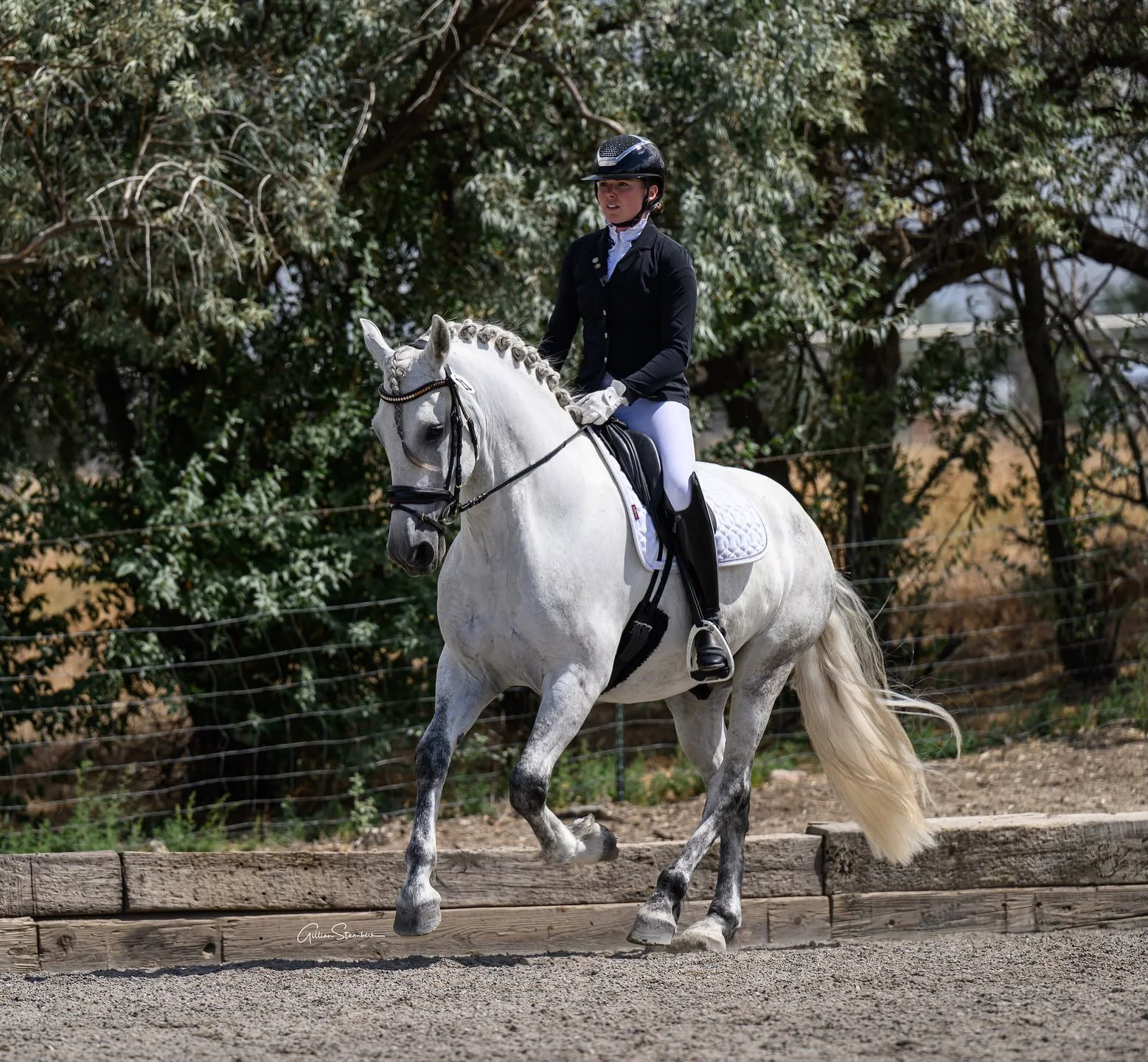 The energy Jariko and I are bringing into this coming week&hellip; 🐎 💨 
.
.
Wearing all of our favorites:

Bridle: @shophalterego 
Breeches: @shophalterego 
Jacket: @ariatequestrian 
Boots: @denirobootco 
Helmet: @kask_equestrian 
Shirt: @novellaeq