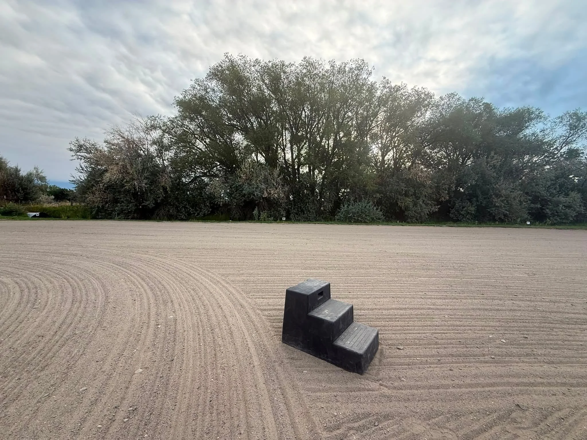 Like a little zen garden 🧘&zwj;♀️ 🌳 looking forward to a day of teaching at Phoenix Rising Pony Club!