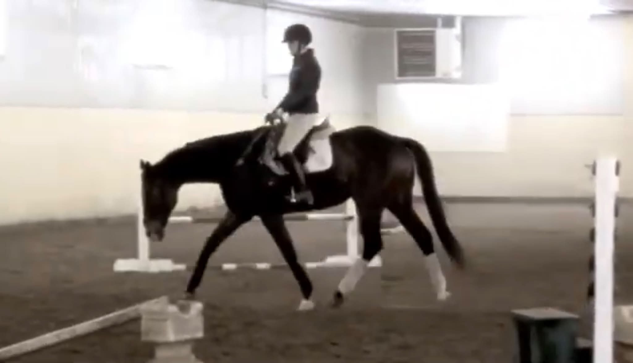 A little #throwback to how we used to ride around as teens&mdash; days spent being a barn rat cleaning, jumping, riding freshly backed babies and quirky horses and everything in between 💜 and lots of riding around bridleless!