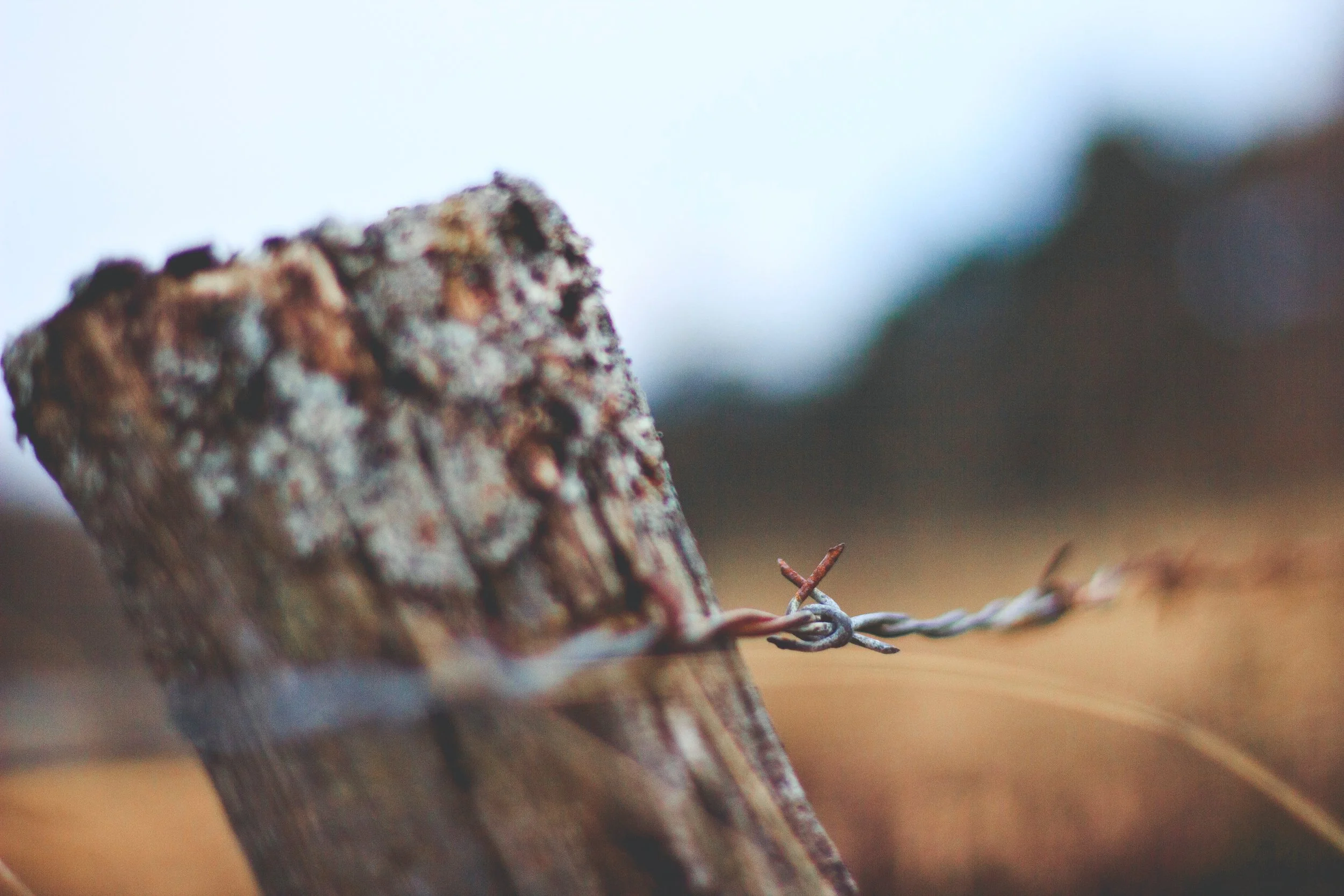 How to Identify Your Own Toxic Behavior