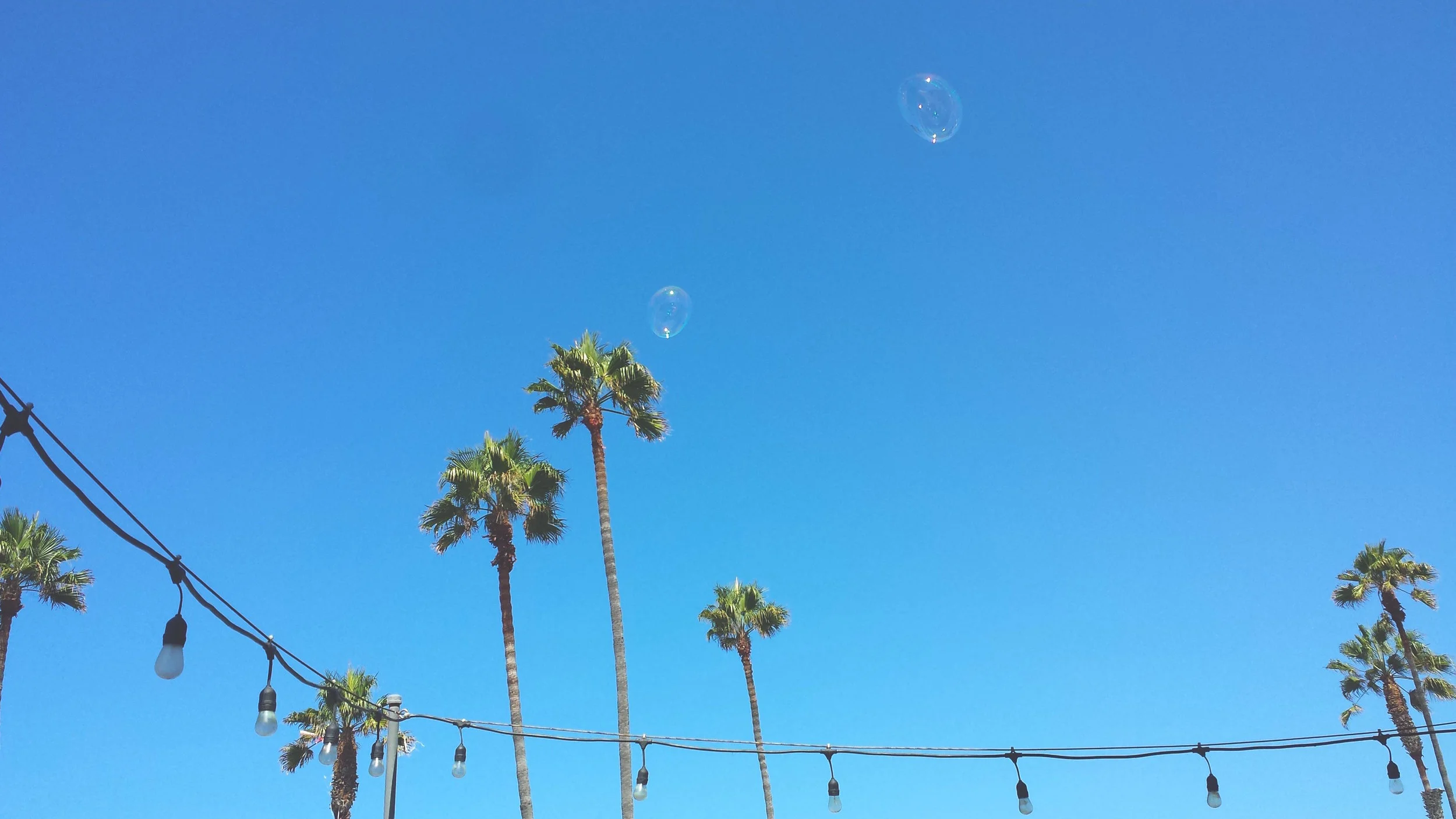 20160814_105340.jpg