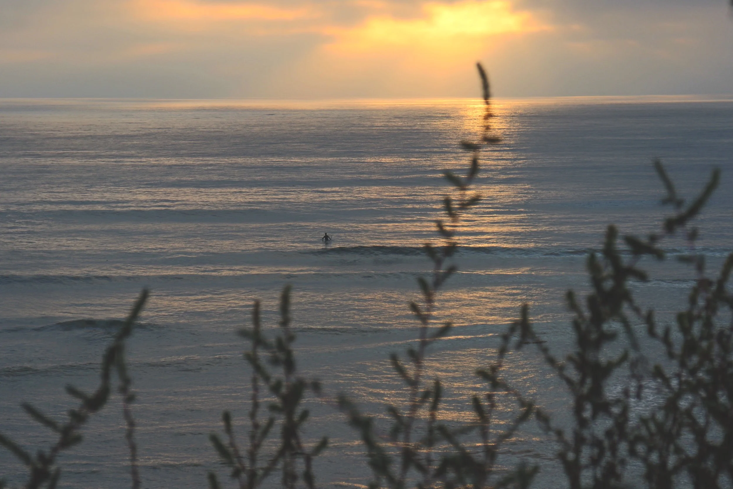 Sunset CliffsIMG_3535.jpg