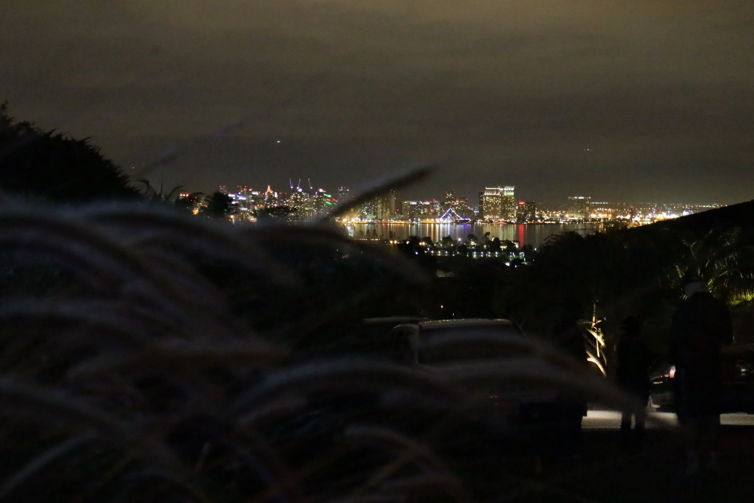 There are so many great spots here in SD that allow an amazing view on the city. One of them is by Garrison Street, naturally on a little hill. From here, you have stunning views on downtown San Diego. It was one of those moments that lead to a rush of adrenaline running through my body, specifically since I was still so new to this place. This is one of the very first pictures that I took, back in December of last year, during my first two weeks in San Diego, if I am not completely mistaken. Annelie - my landlady - and I went to famous Garrison Street, where many houses had lid up their whole front and back yards with Christmas lights. It was pretty weird to me at first to have such relatively mild temperatures and then seeing people actually being in the mood for Christmas. But I guess this helped to put me in a little bit of a holiday spirit. Annelie then showed me this spot, from where you see exactly what the picture shows. So, I am really living in this city, right? Pinch me. 