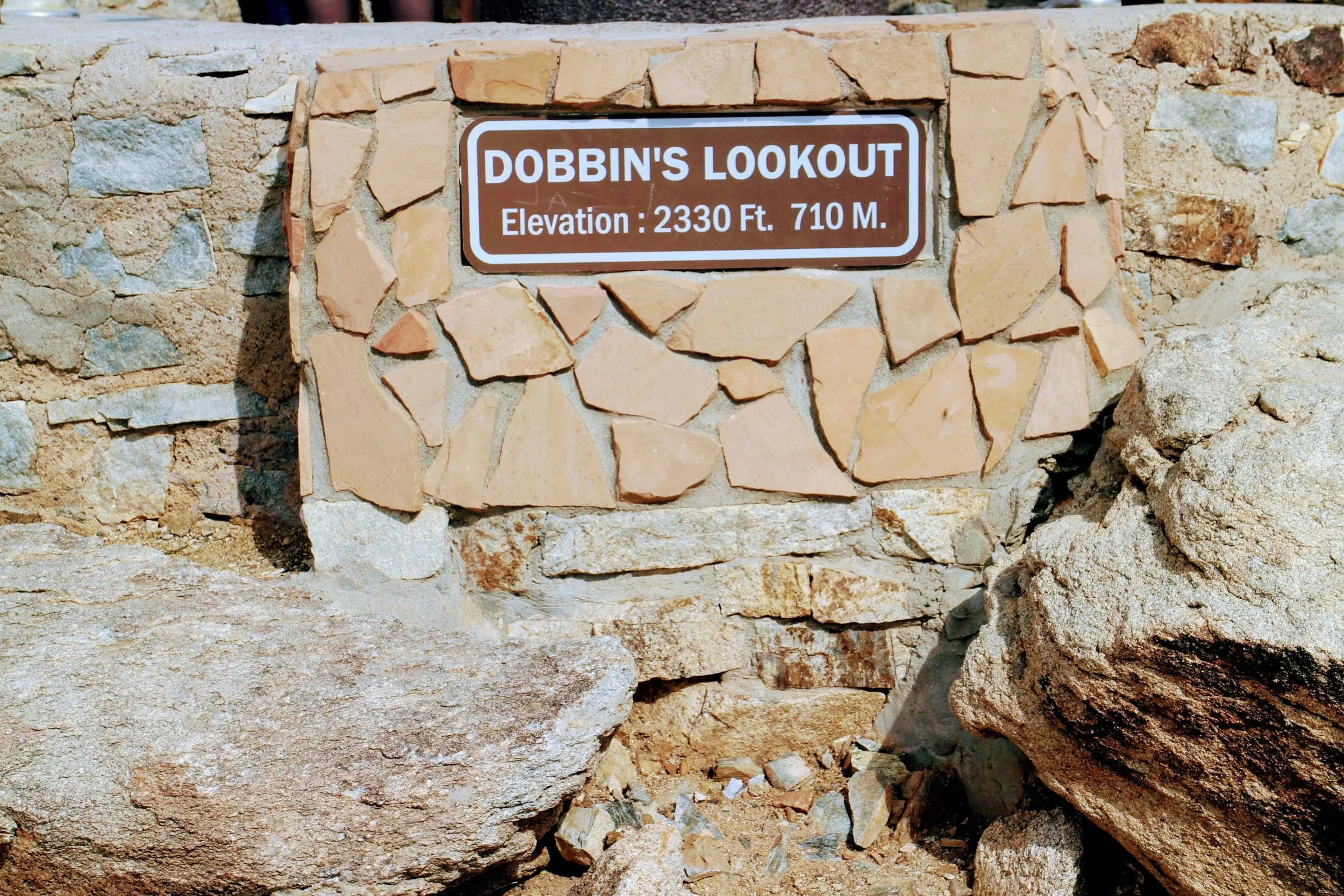 Yeah, hiking all the way up would have been a different story. 