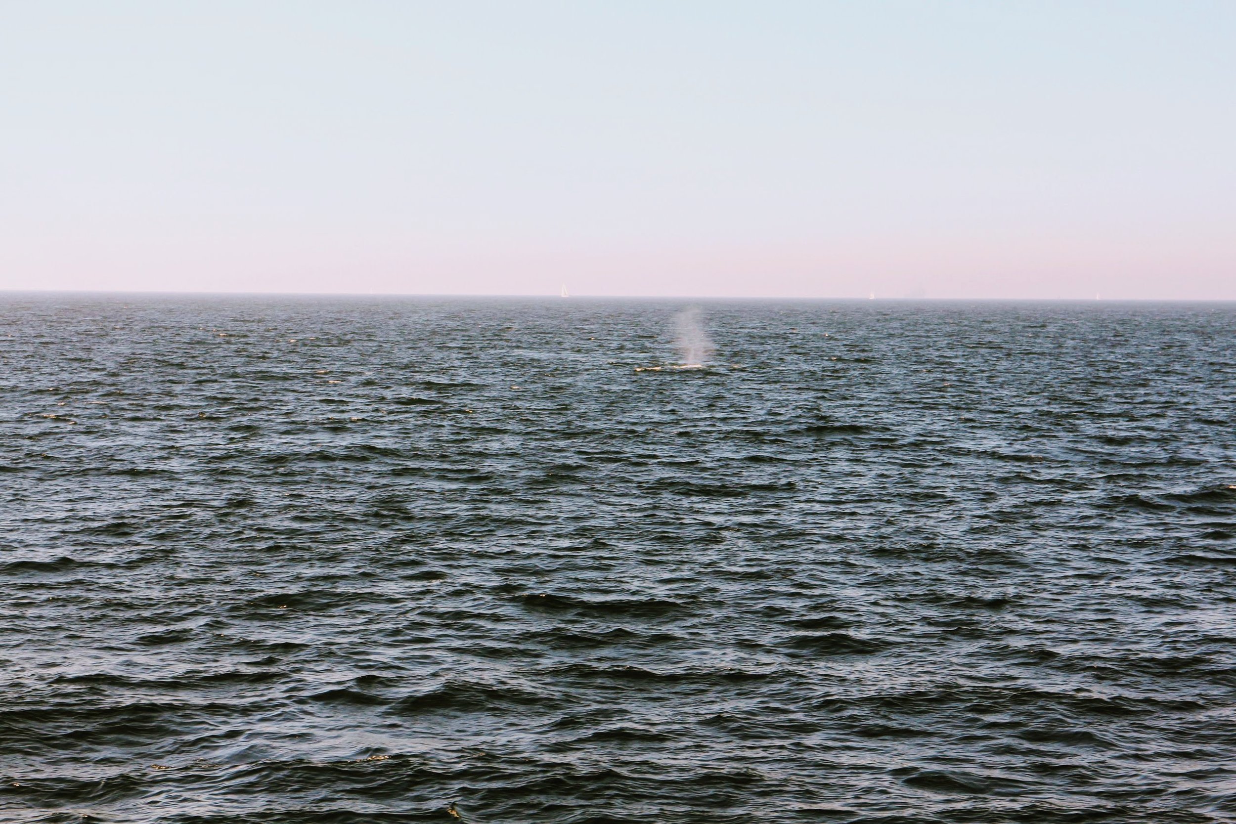 IMG_5645.jpg