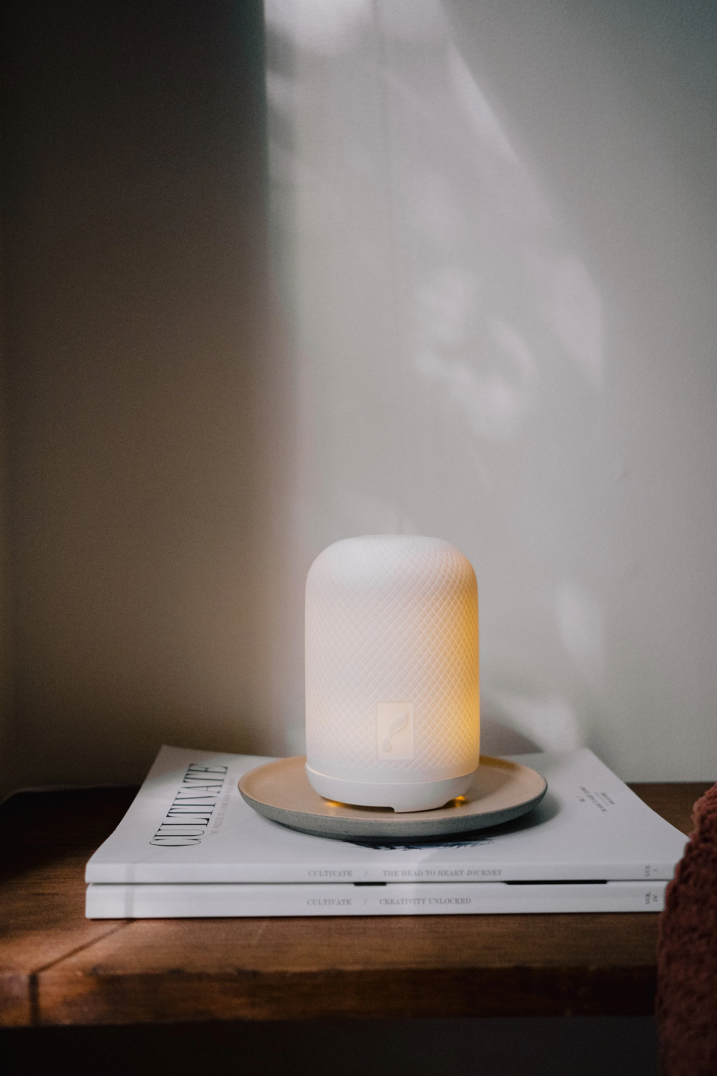 Haven Diffuser_01.jpg