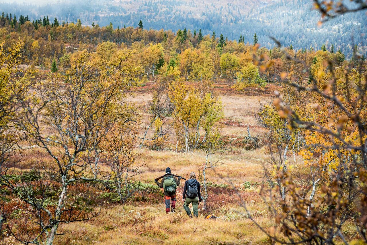 Gausdal%20Vestfjell_Hires-2_preview.jpeg.jpg