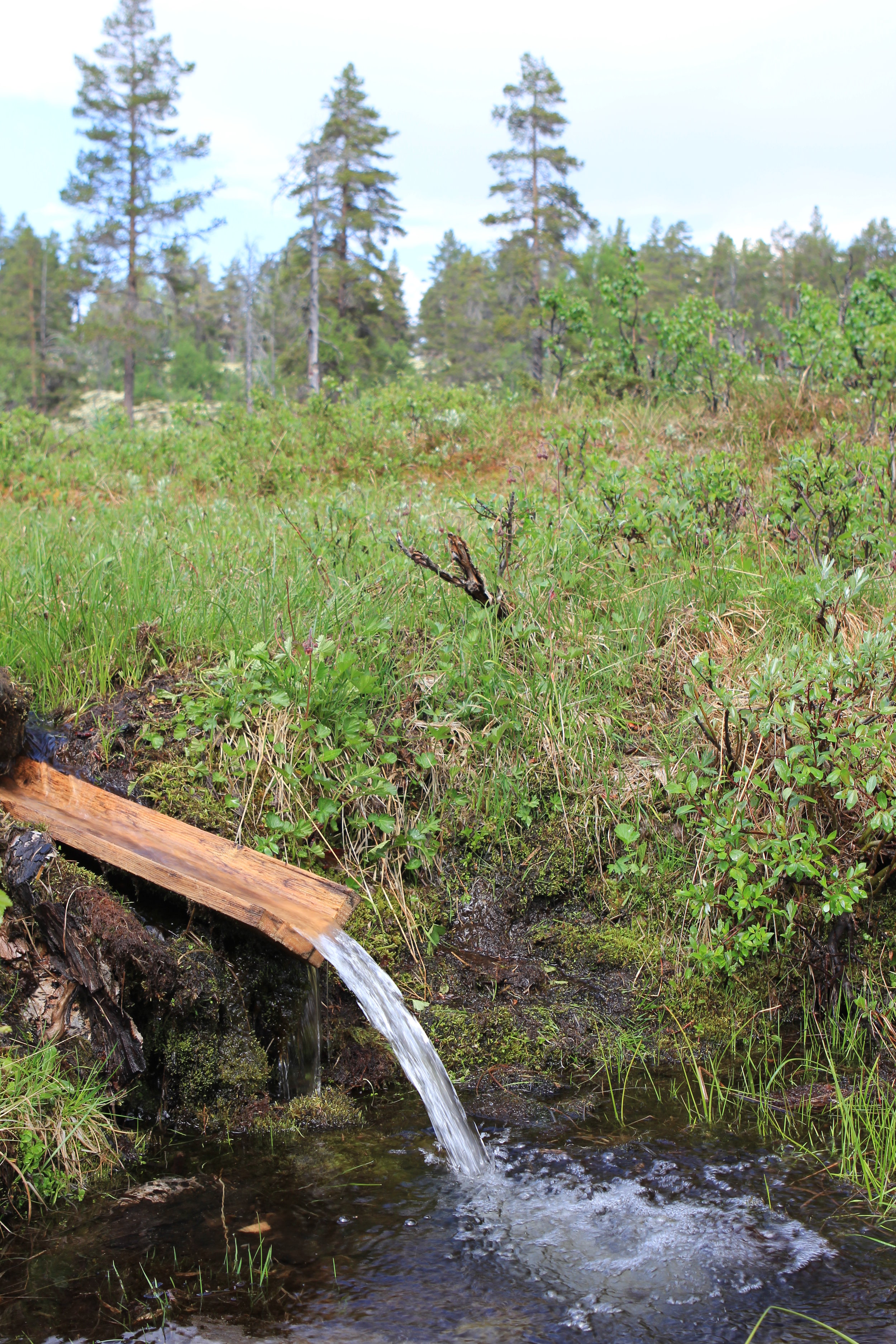 Godt vatn langs Liumsetervegen, 1. juni 2018