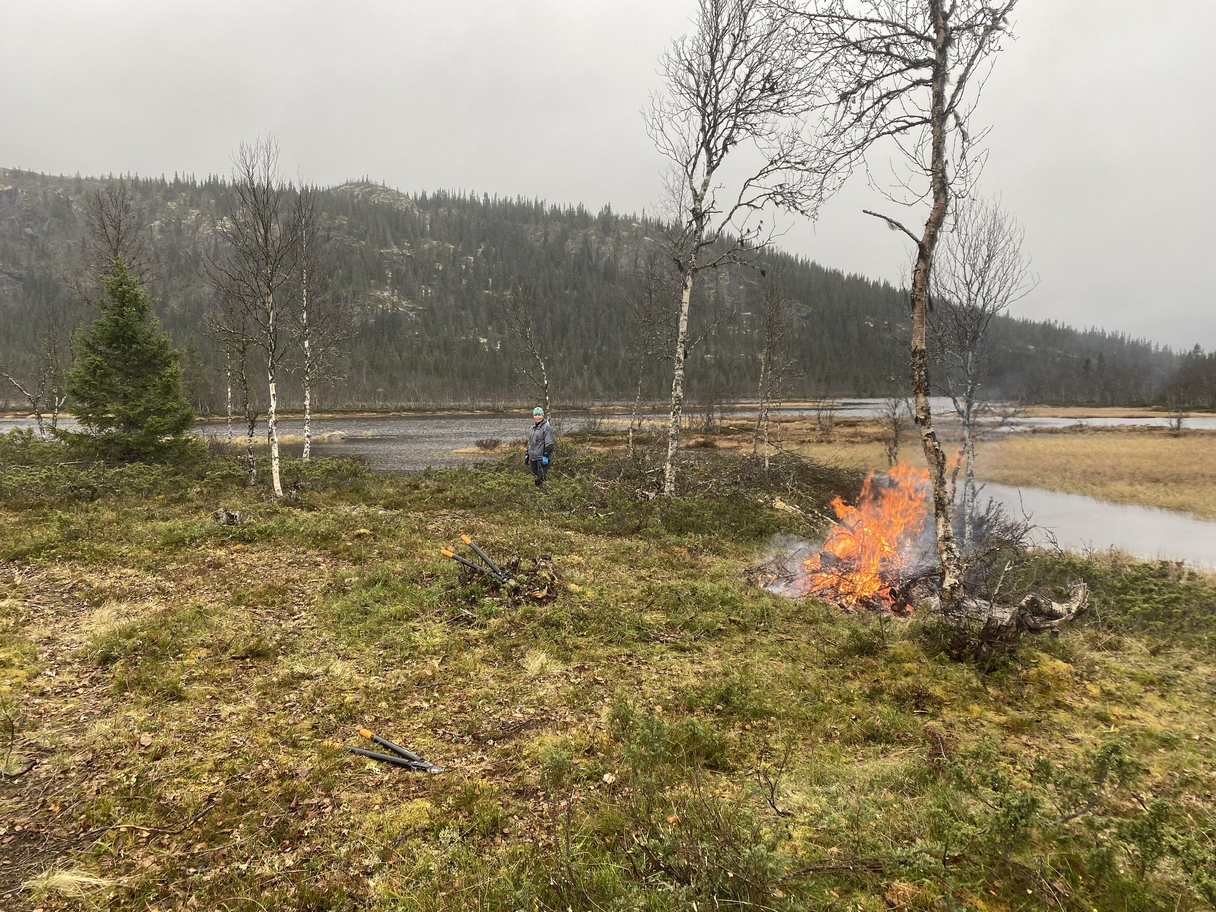  Vegetasjonsrydding i Dokkfaret, 13. oktober 2023 (foto: Gausdal fjellstyre) 