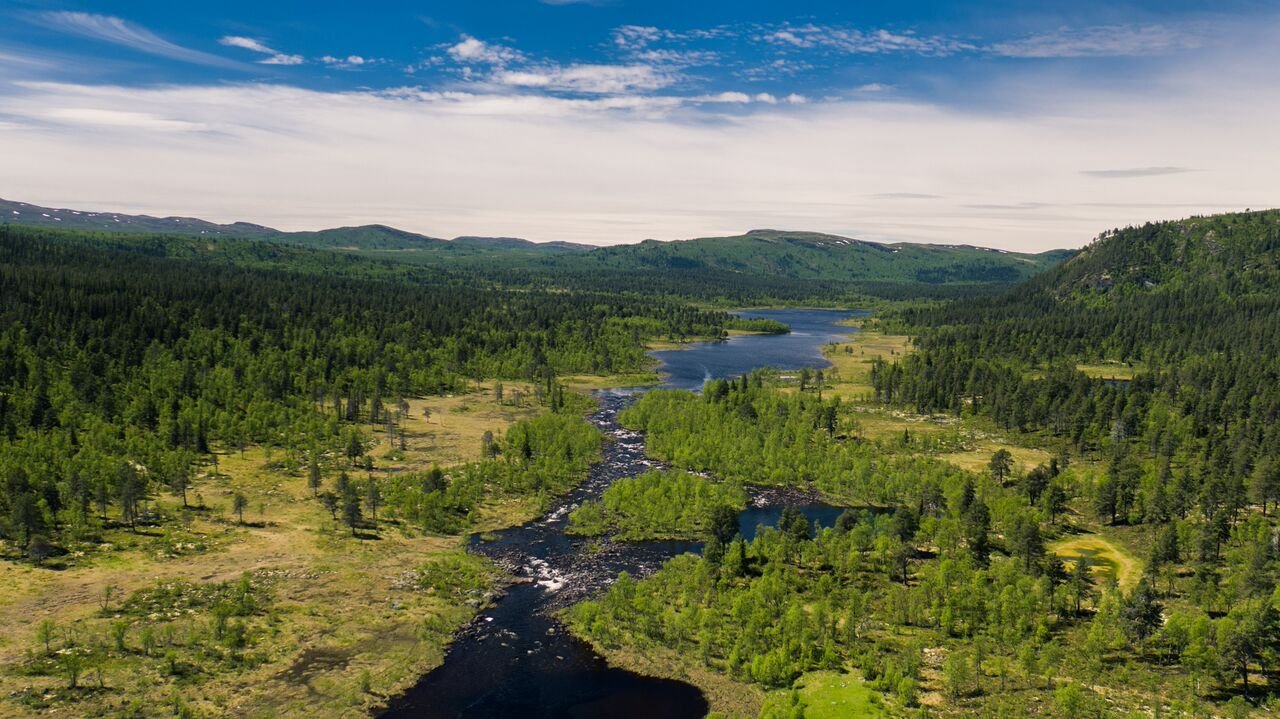 Gausdal-1_preview.jpeg.jpg