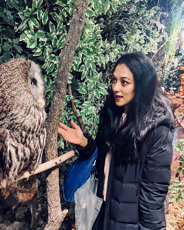They didn&rsquo;t tell me how many licks it takes to get to the center of a tootsie roll pop but we did talk about politics for a while. Turns out they are voting for Yang, had some good points, actually 🦉💙 .
.
.
.
.
.
#owlvillage #harajuku #owlsof