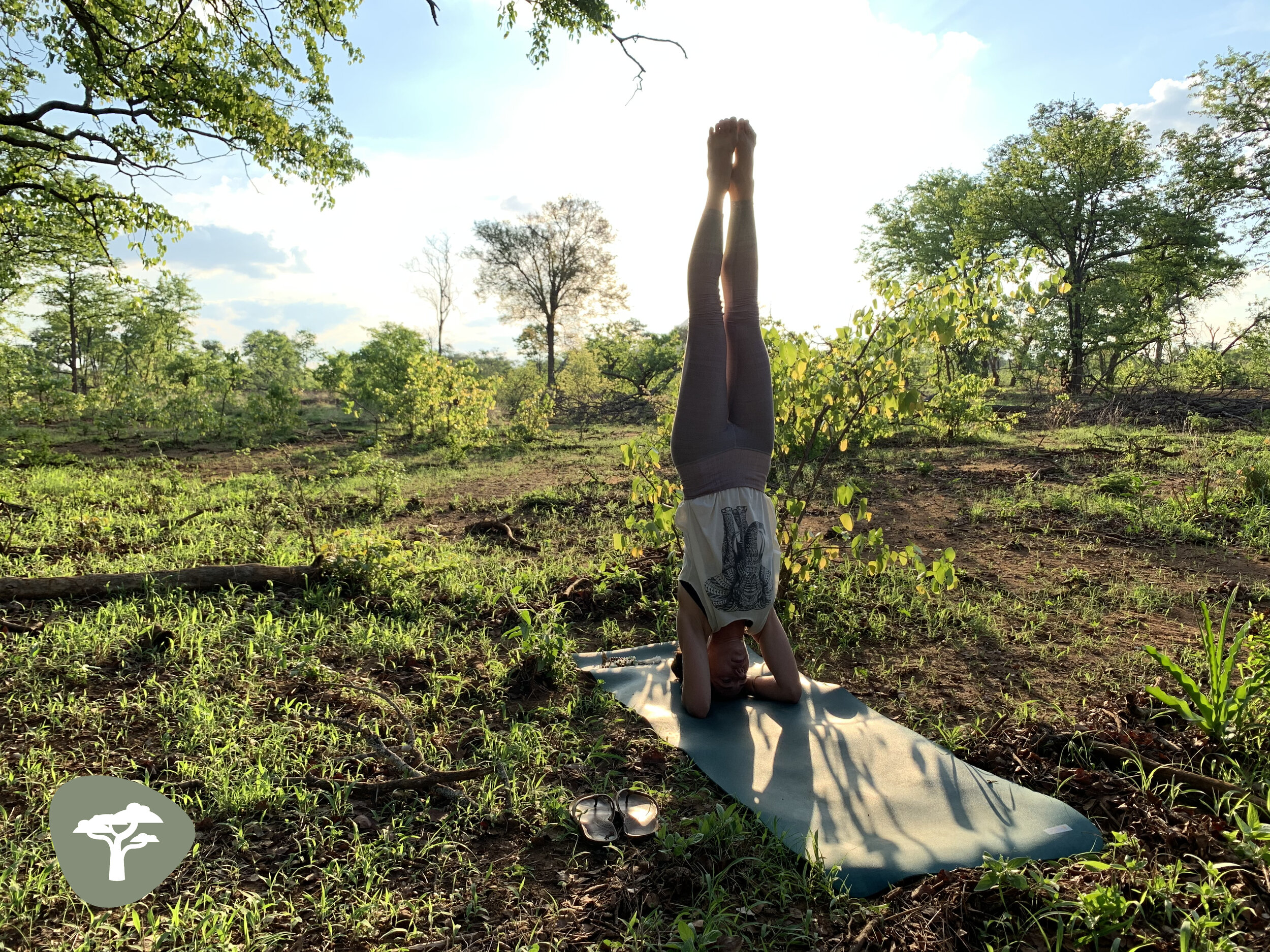 Headstand in the Bush_with Logo.jpg