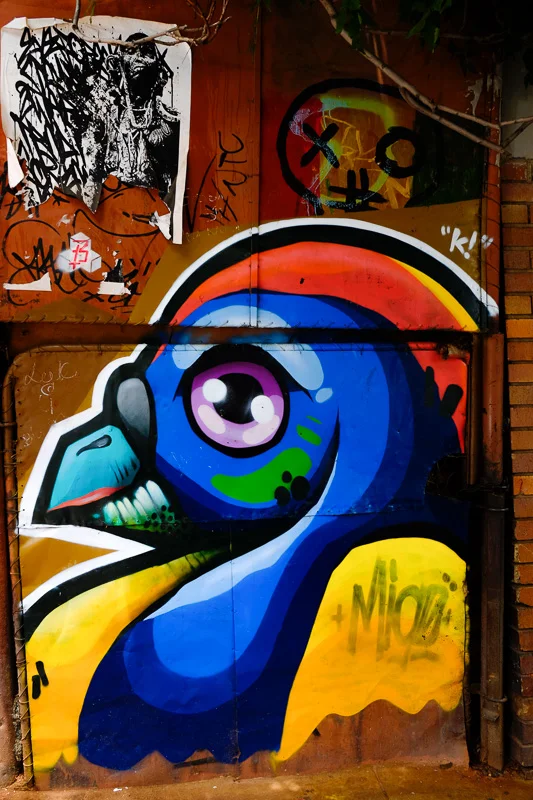 Art_Graffiti_Abramowsky-19.jpg