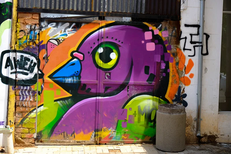 Art_Graffiti_Abramowsky-17.jpg