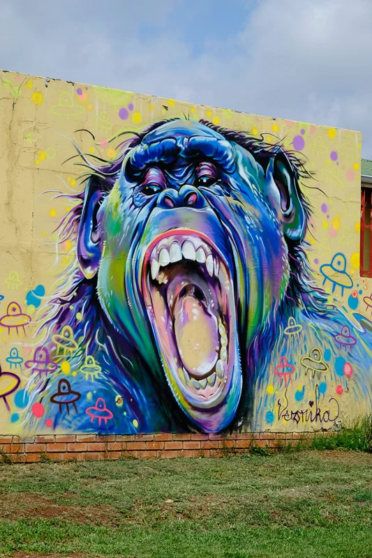 Art_Graffiti_Abramowsky-6.jpg