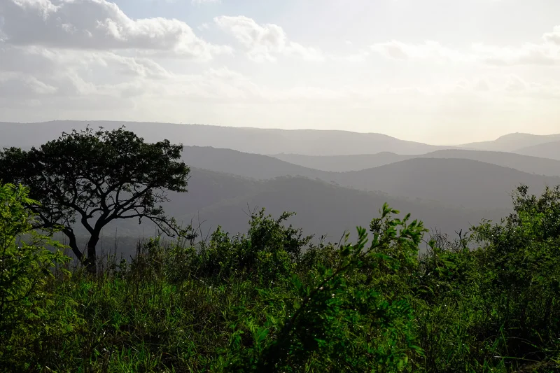 NL/Hluhluwe/South Africa