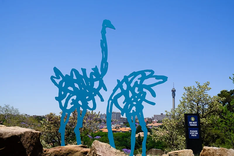 UL/The Wilds/Ostriches2/Johannesburg/South Africa
