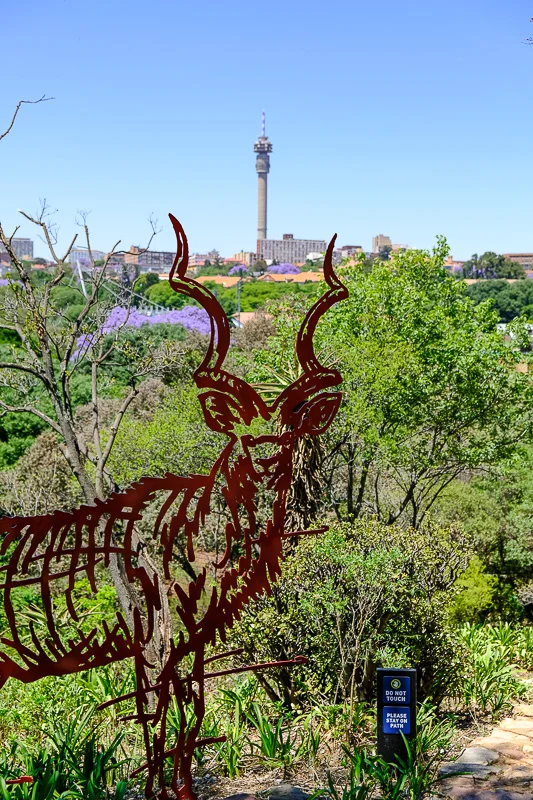 UL/The Wilds/Kudu/Johannesburg/South Africa