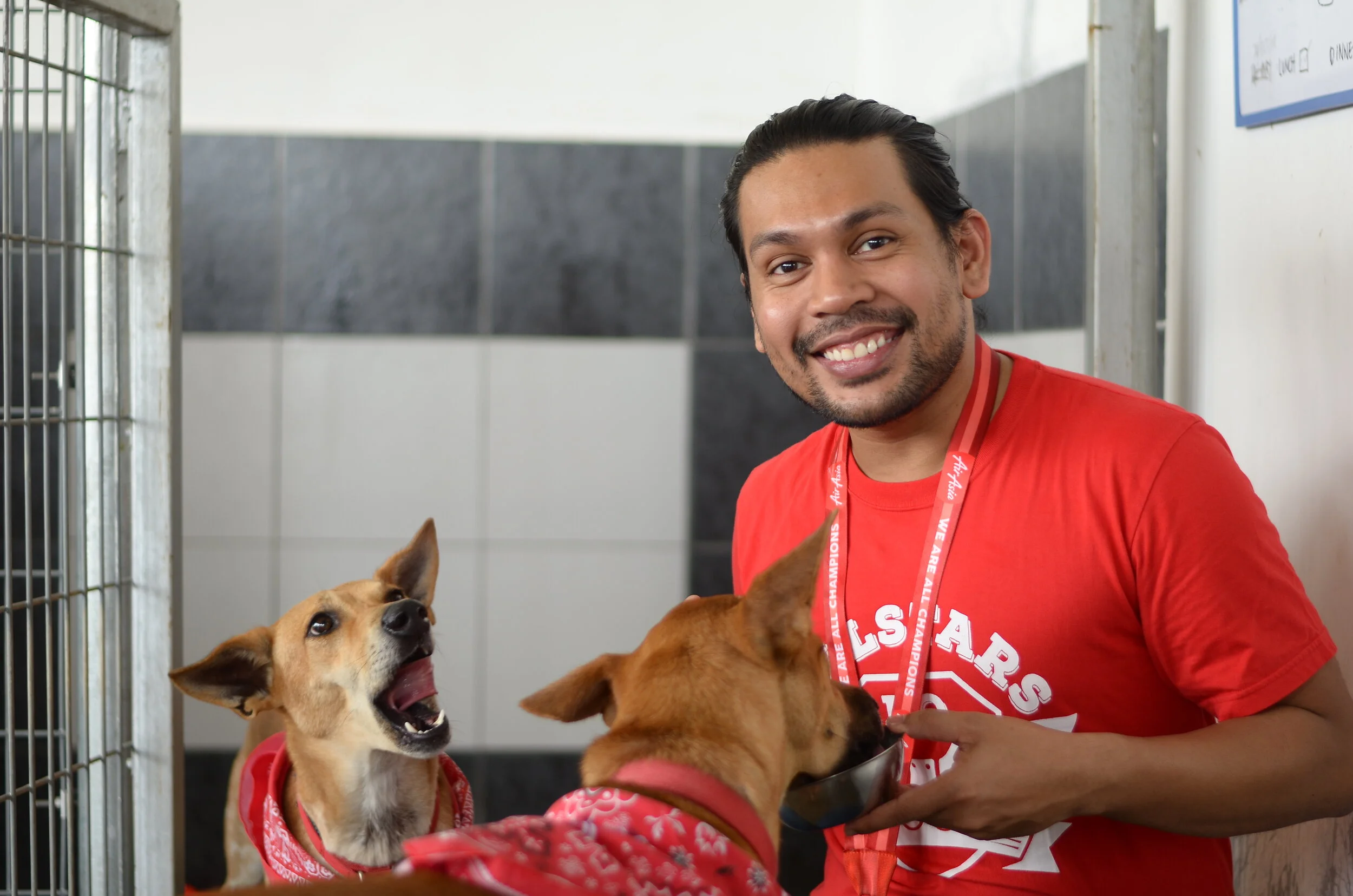 A Paws-perous CNY with DogQ residents at AirAsia’s global headquarters