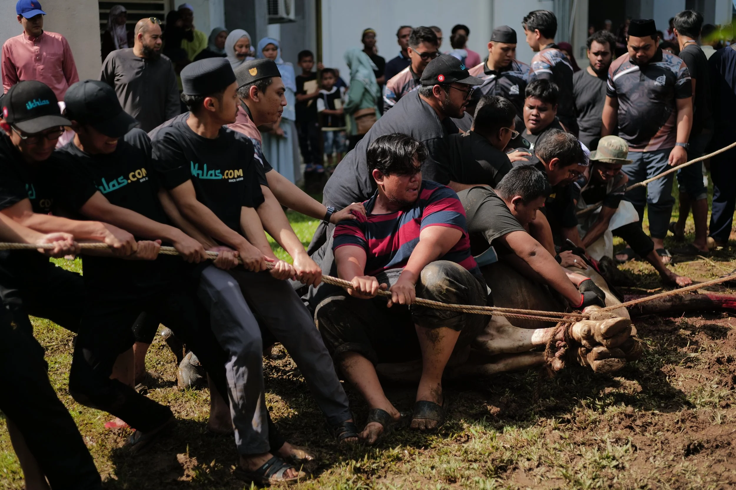 Qurban Perdana ikhlas.com 2024 exceeds target,  benefits 120,000 recipients