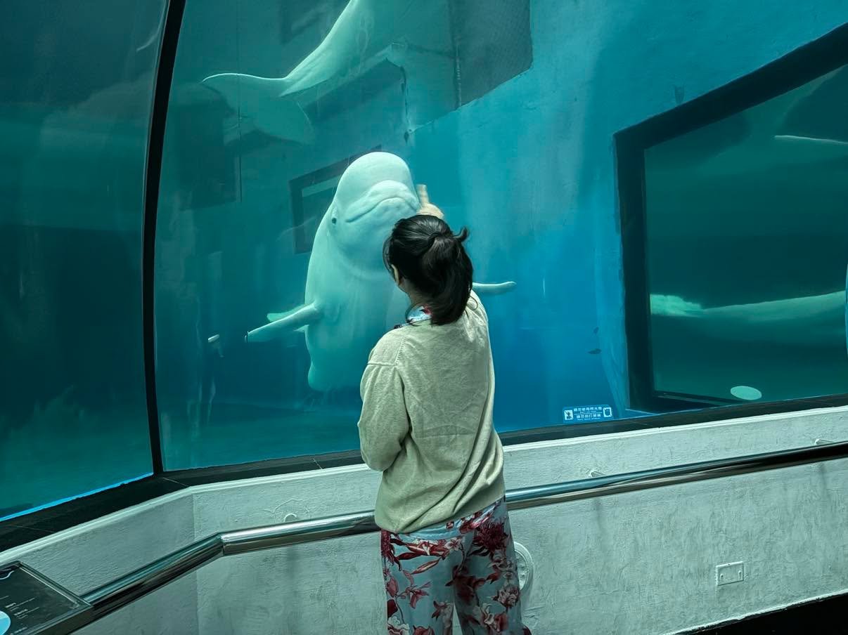 Sleep with Beluga.jpg