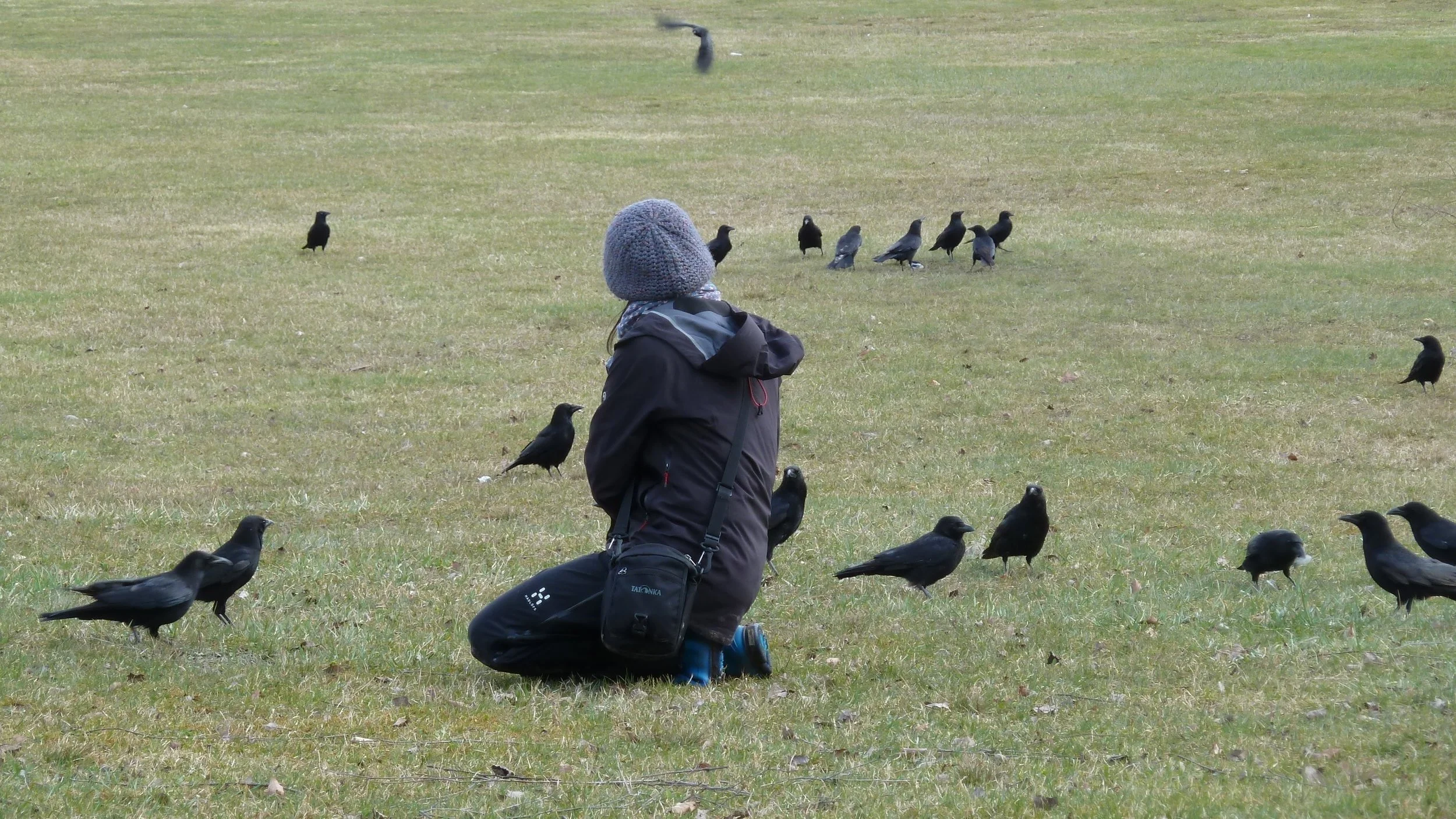 P1030270.jpg