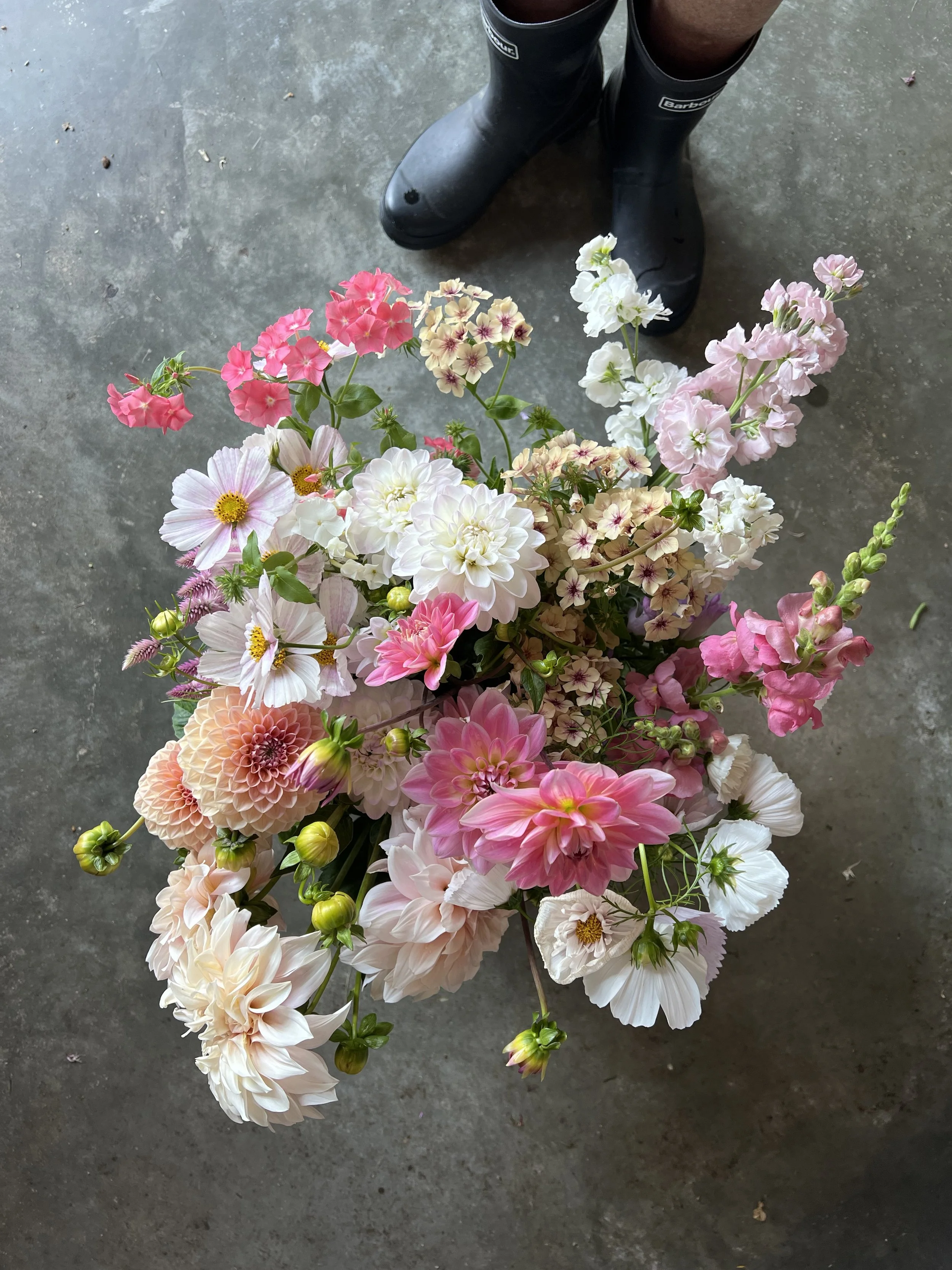 September cut flowers