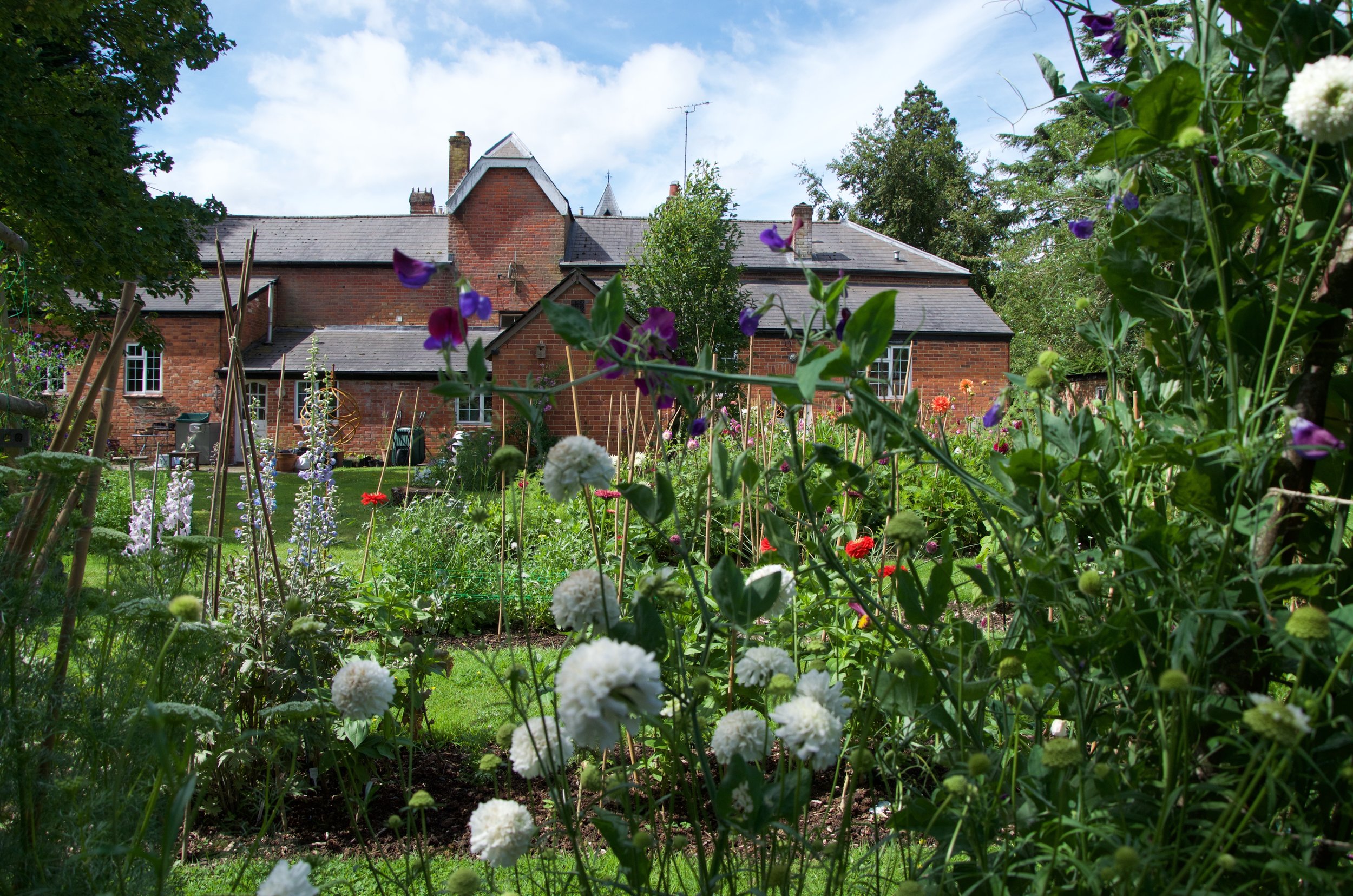 The Victorian cutting garden