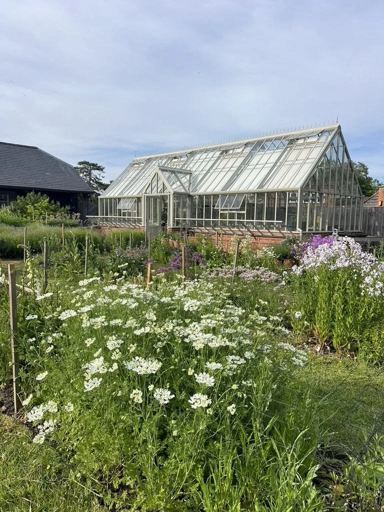 Hartley Botanic greenhouse in the cutting garden