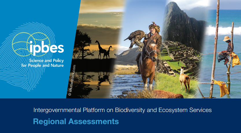 Regional Assessments Flyer Header.png