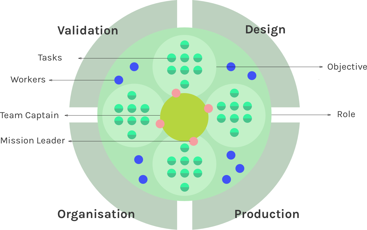Cross section of the Role group
