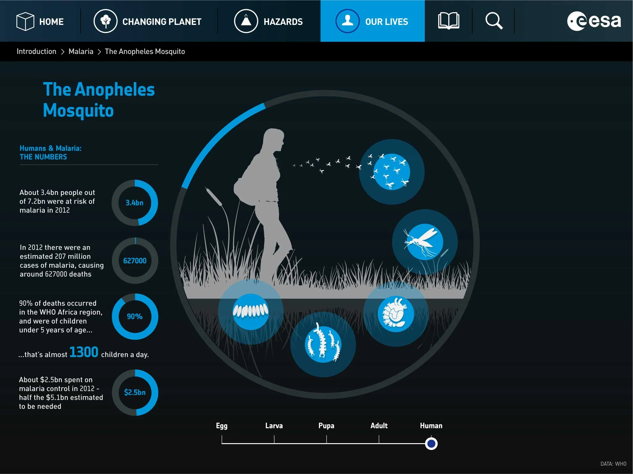 ESA-Design-Malaria-Diagram-Mosquito-Lifestage-v01-02.jpg