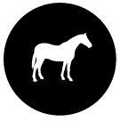 SOURCE FILE_beef v horse.png