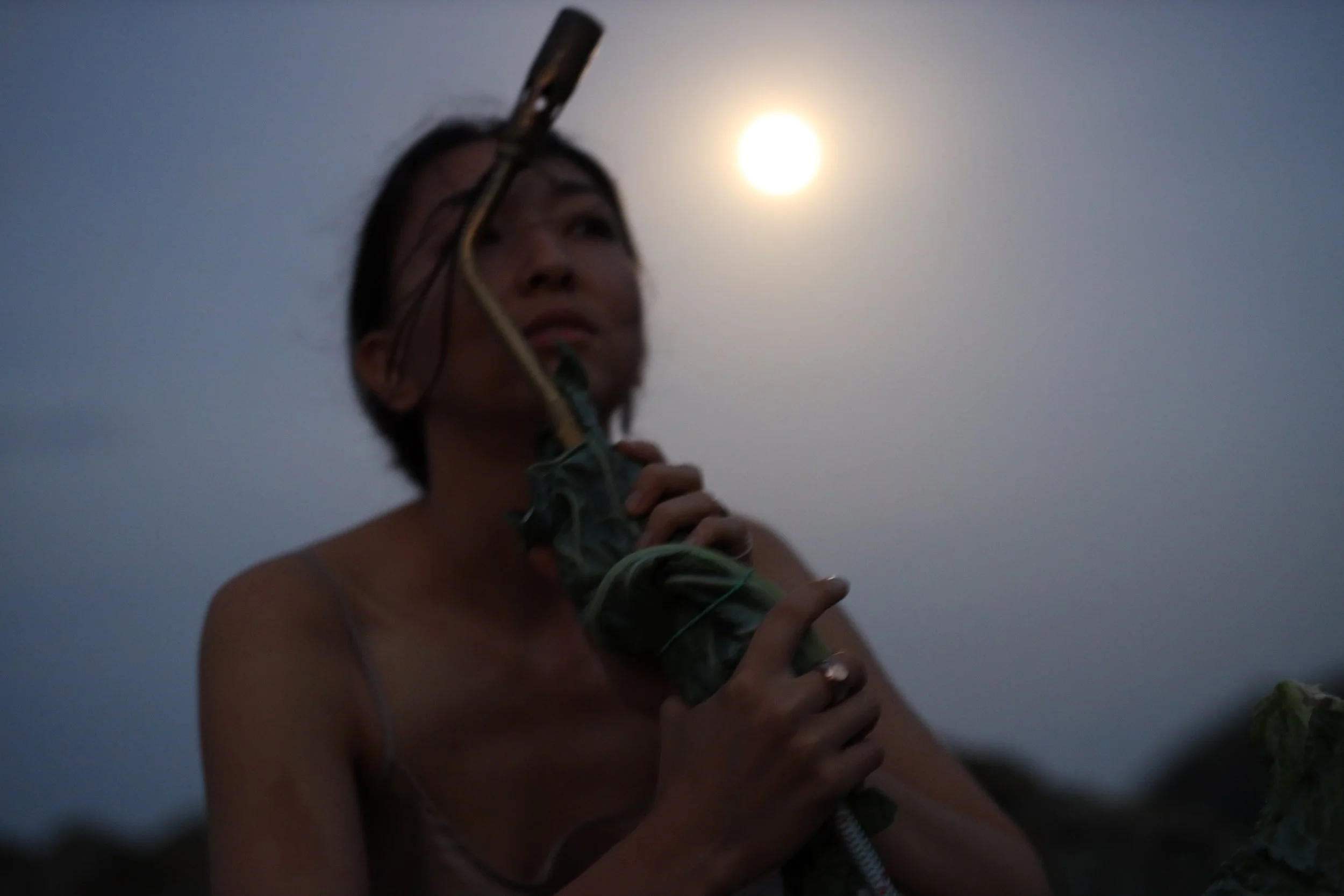 jeweler and the full moon