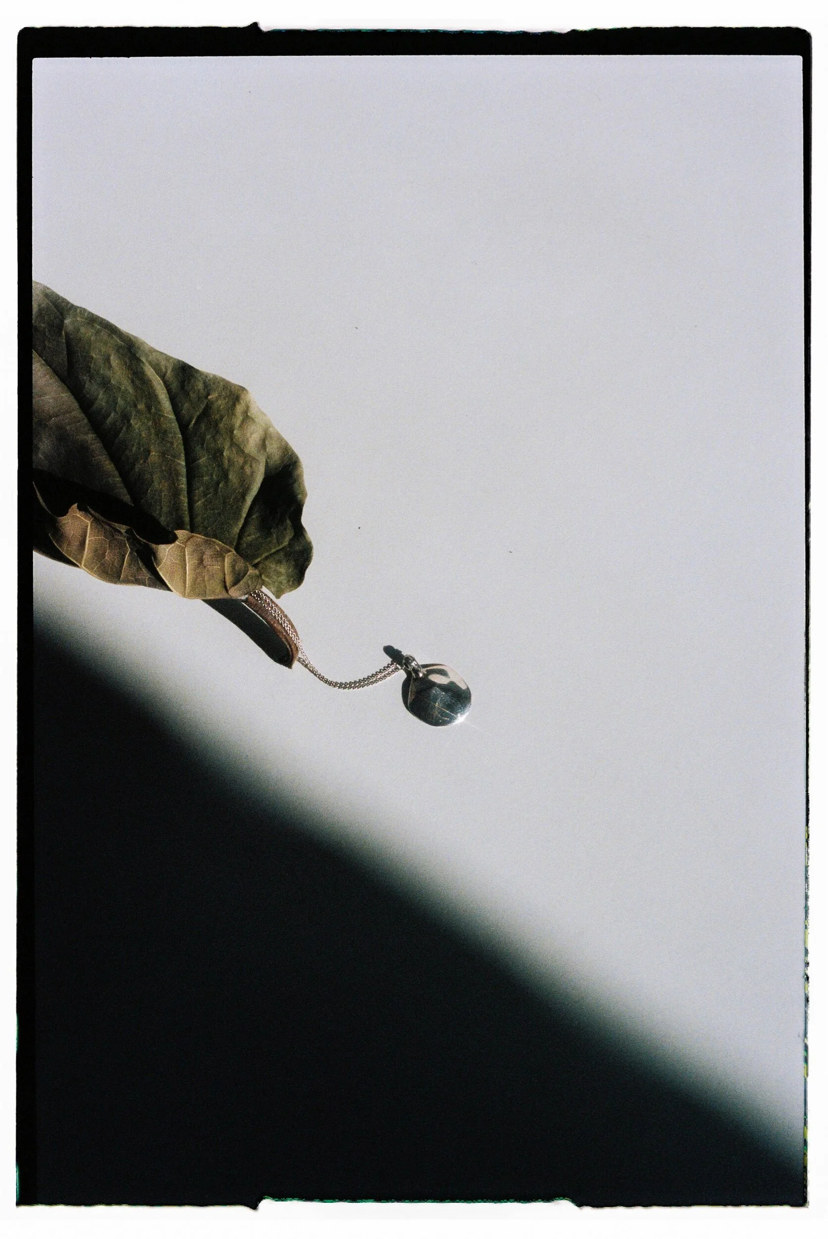 ADB7CB7A-A6AB-46AC-81E9-6FC68BEC9555