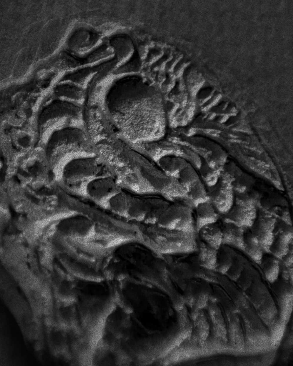 Screenshot+2026-04-22+at+16.17.54.png (Copy)