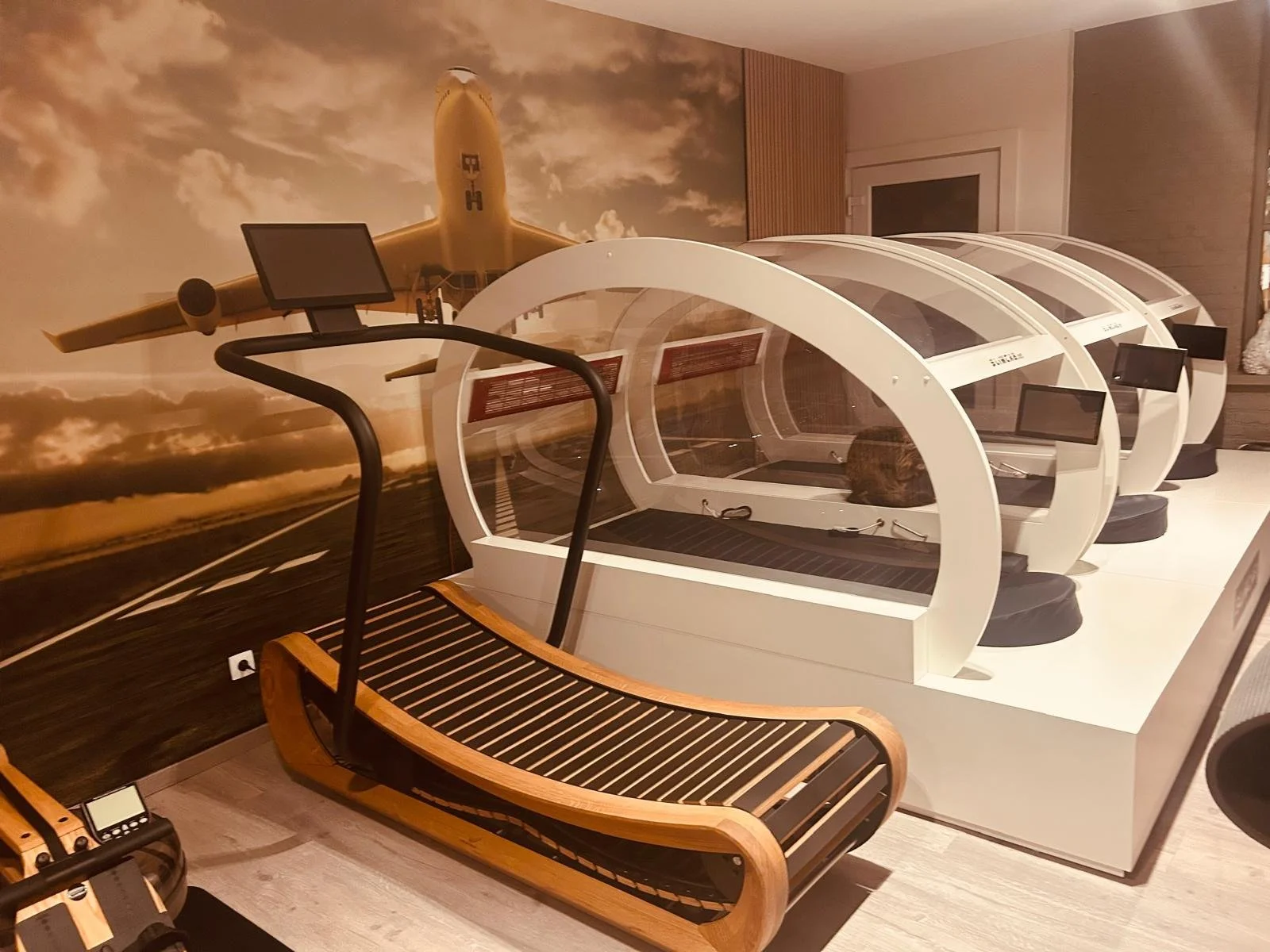 WhatsApp Image 2026-01-01 at 13.14.52.jpeg