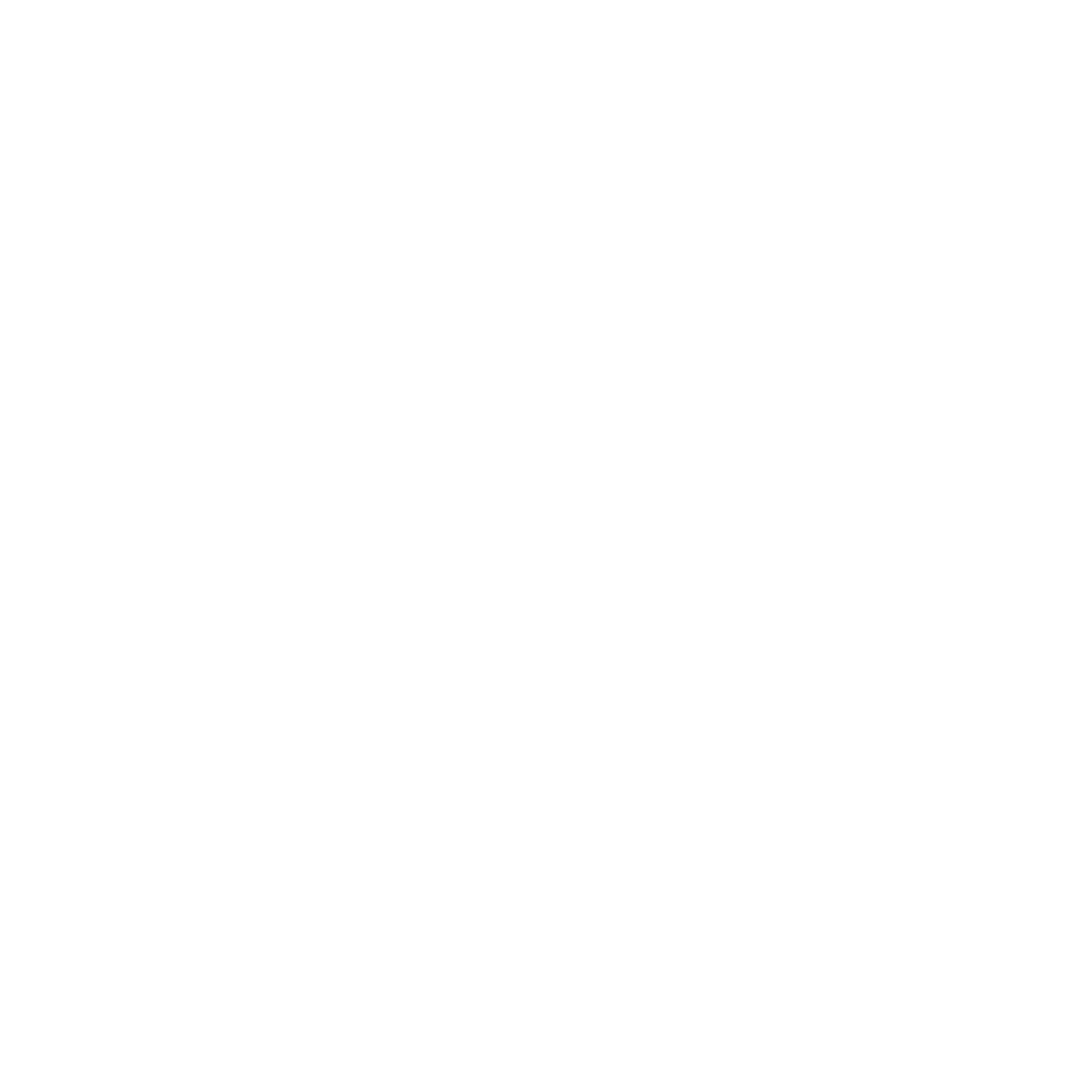 VIQTUS.