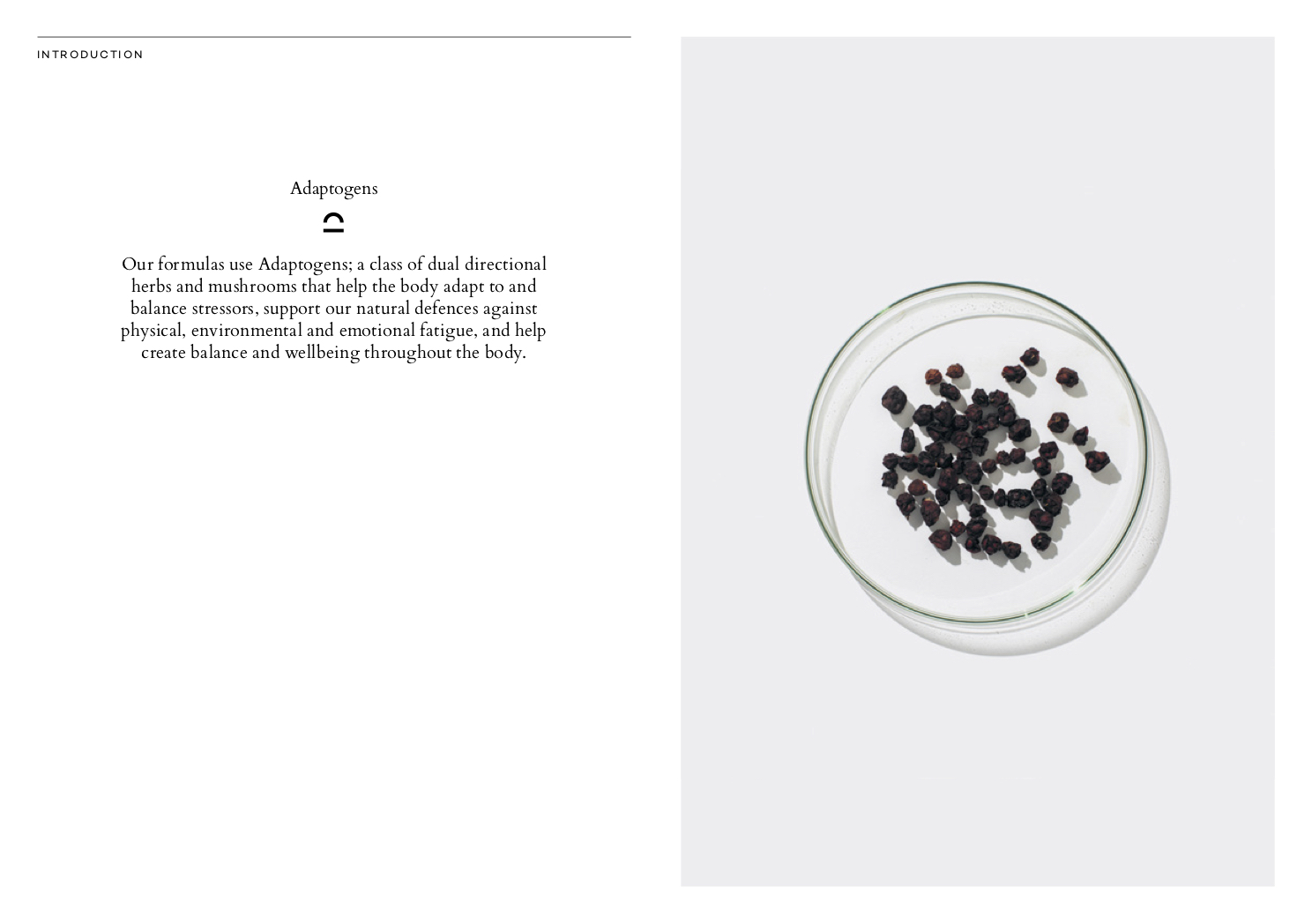 Grown Introduction Document2.jpg