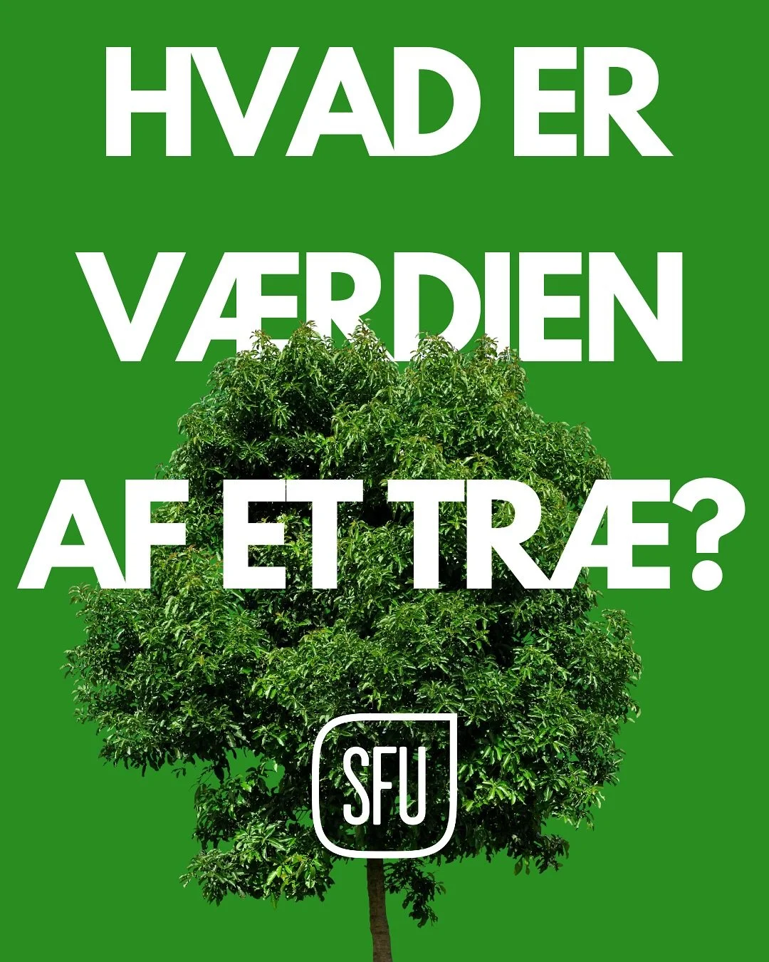 Tr&aelig;er er nice, kapitalisme er ikke💅💅 Bliv medlem af SFU 💖