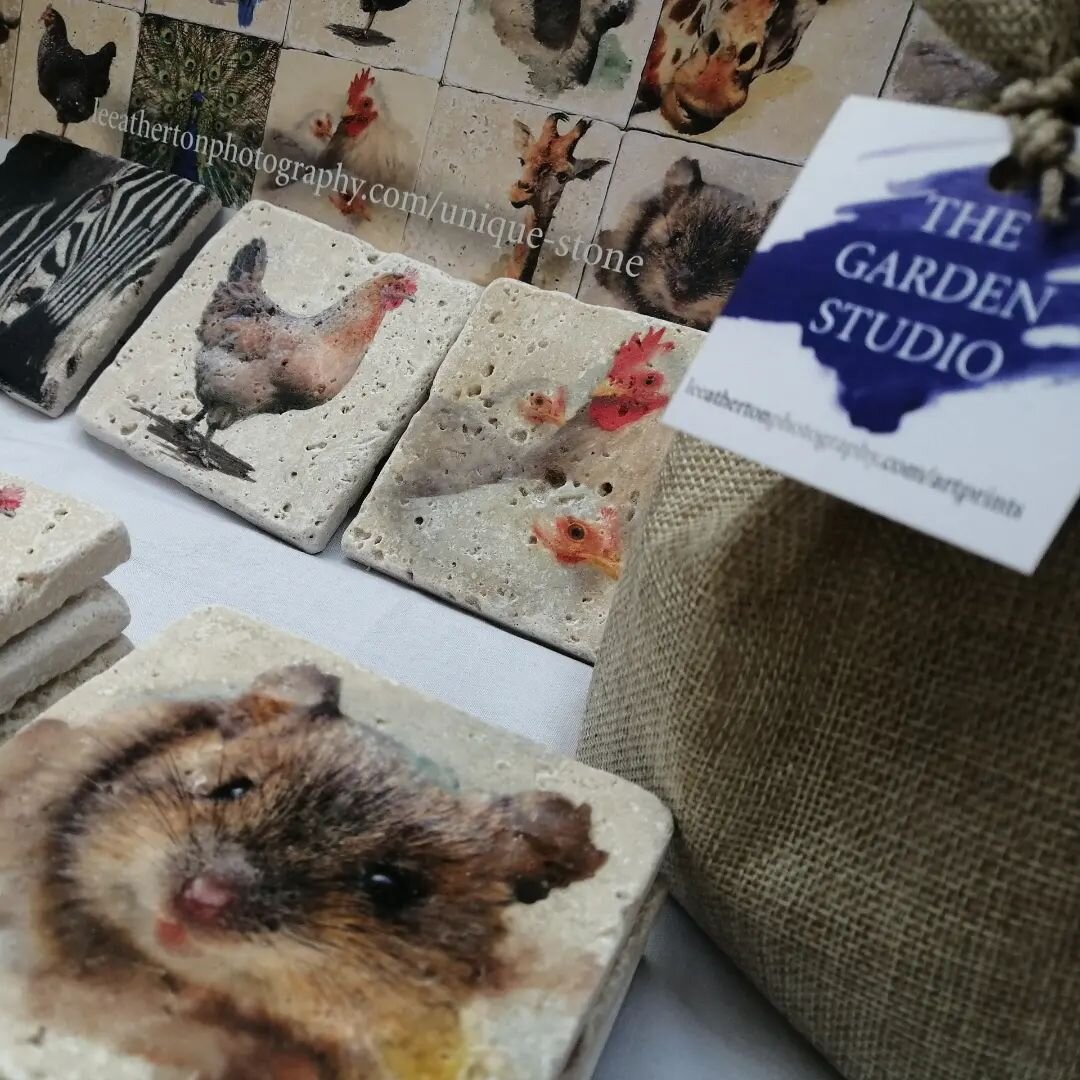 All set up at the Jam Factory in Oxford. It's a super venue for food and Art!  With mothers day fast approaching come and pick up something special. Cards, coasters and framed art. #animal art #giftidea