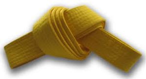 yellow-belt-300x164.jpeg